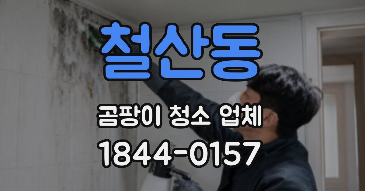 철산동 곰팡이 청소 업체