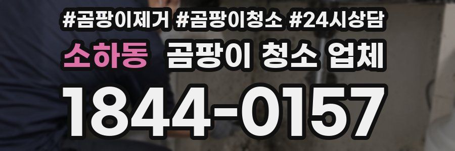 소하동 곰팡이 청소 업체