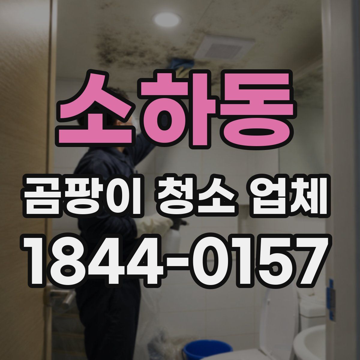 소하동 곰팡이 청소 업체