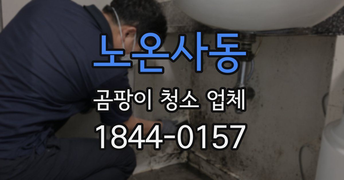 노온사동 곰팡이 청소 업체
