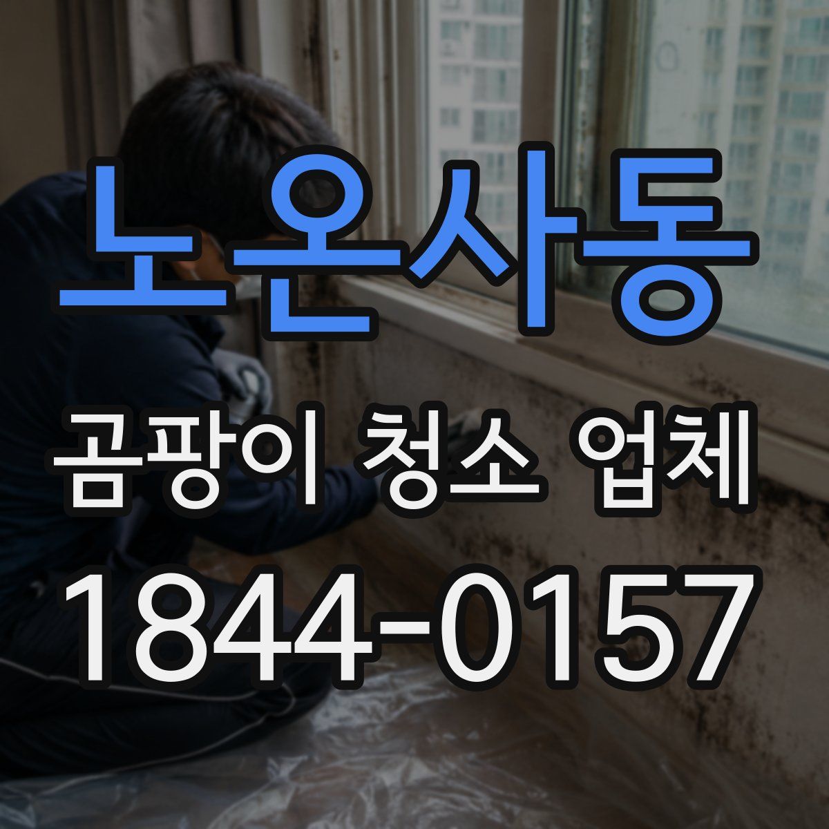 노온사동 곰팡이 청소 업체