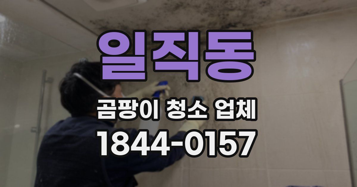 일직동 곰팡이 청소 업체