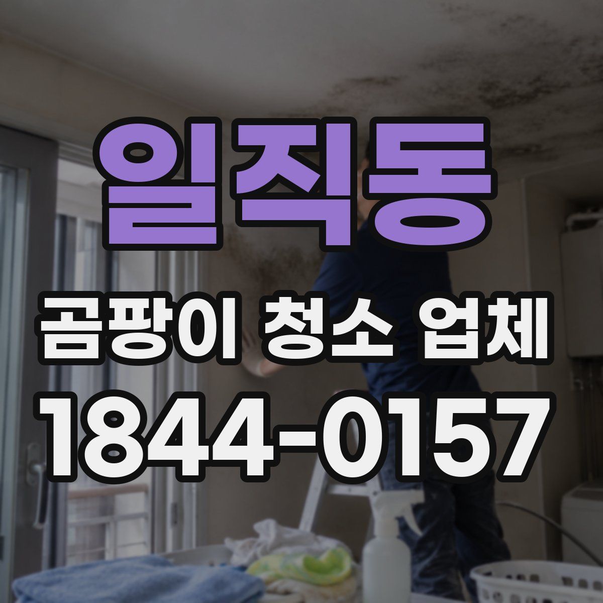 일직동 곰팡이 청소 업체