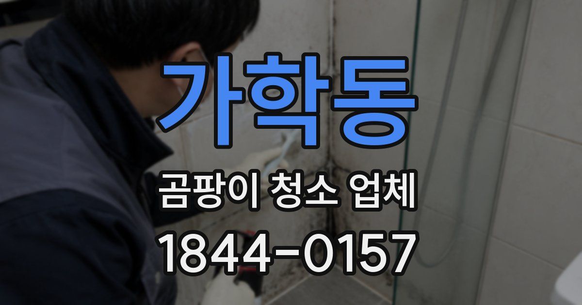 가학동 곰팡이 청소 업체
