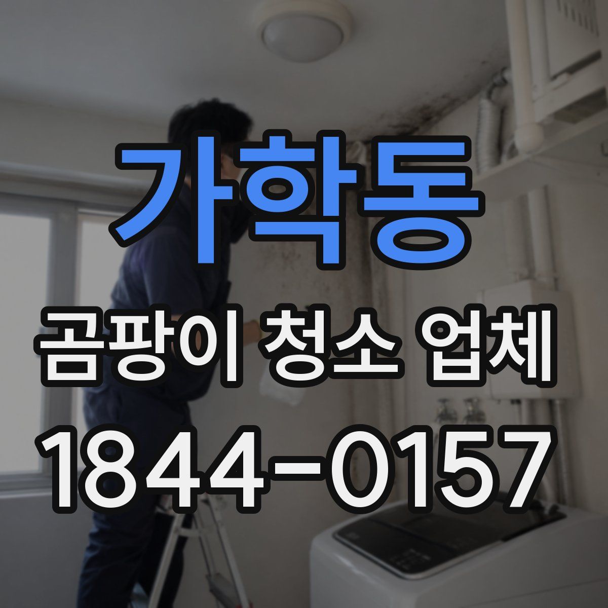 가학동 곰팡이 청소 업체