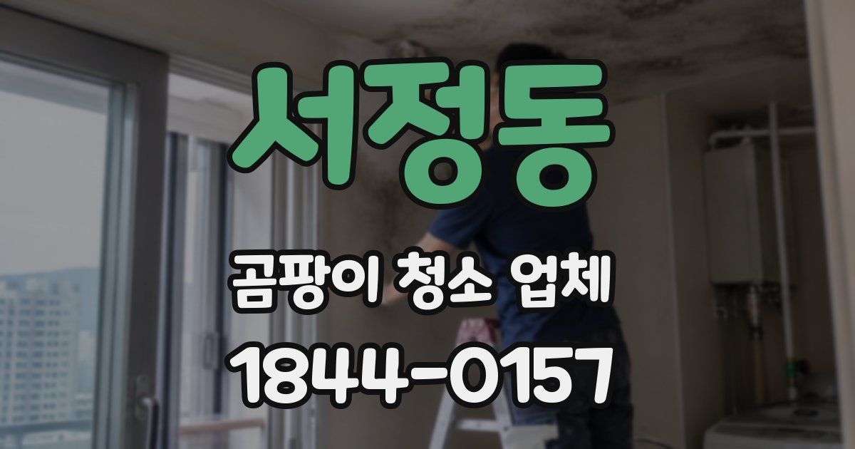 서정동 곰팡이 청소 업체