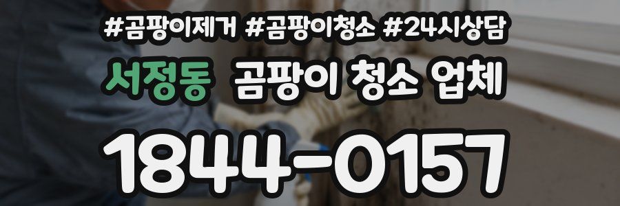 서정동 곰팡이 청소 업체