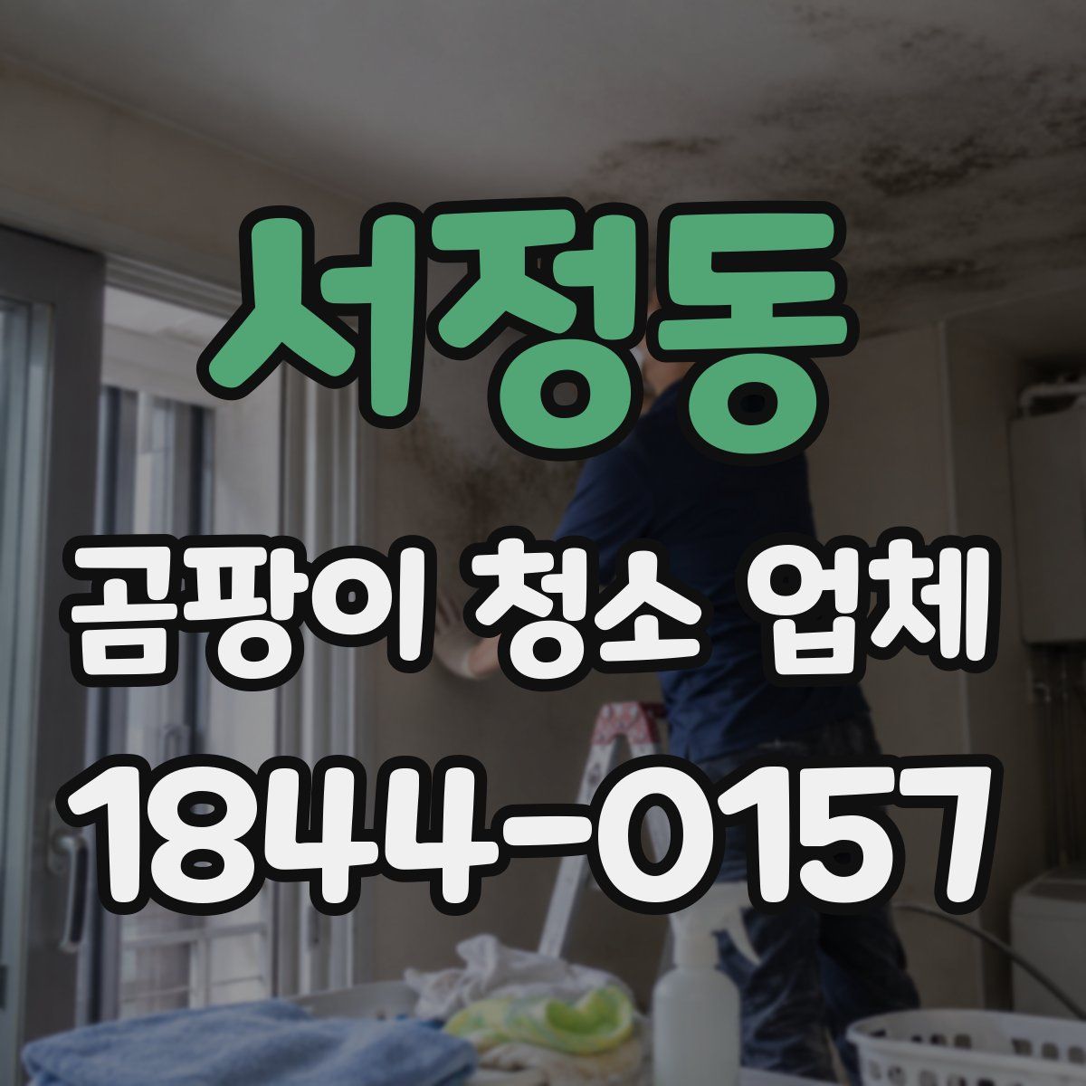 서정동 곰팡이 청소 업체