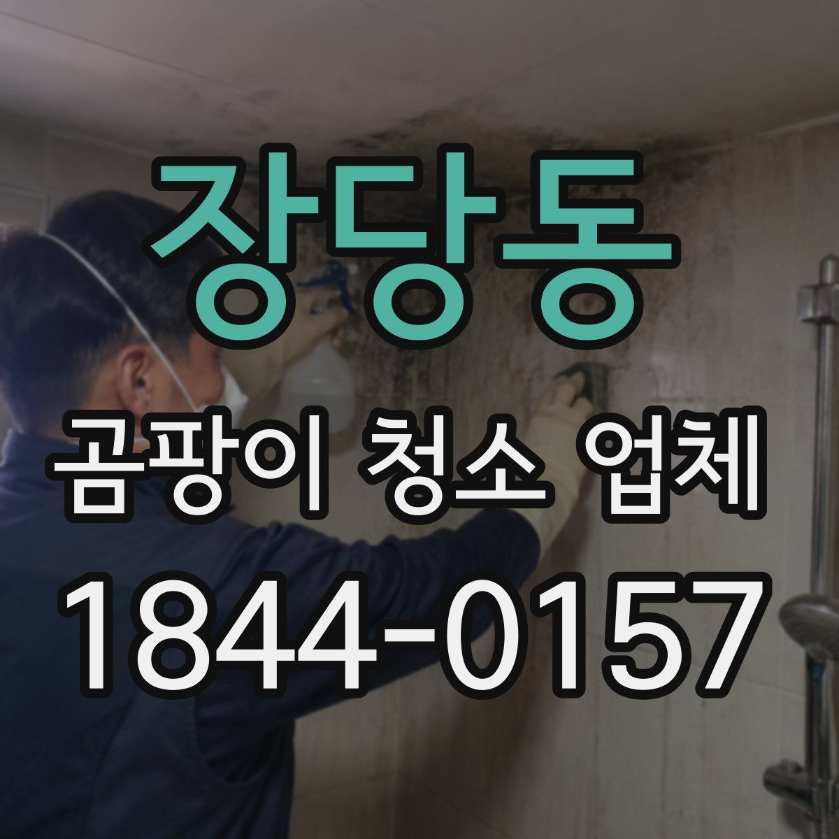 장당동 곰팡이 청소 업체