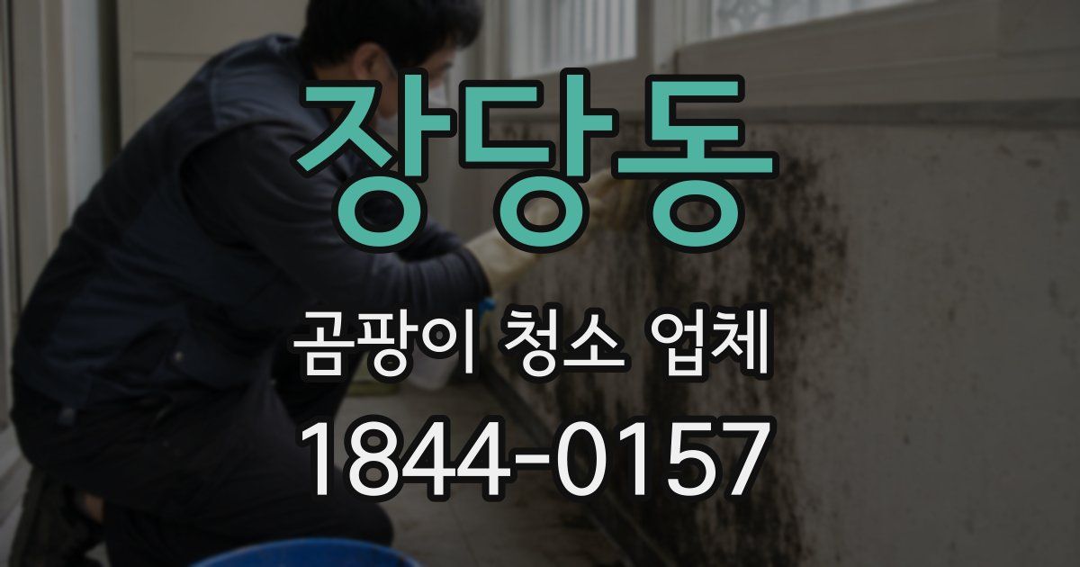 장당동 곰팡이 청소 업체