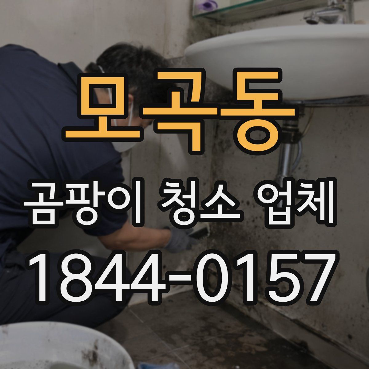 모곡동 곰팡이 청소 업체