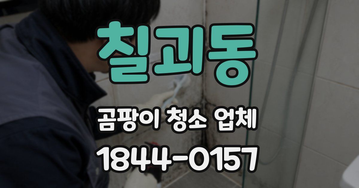칠괴동 곰팡이 청소 업체