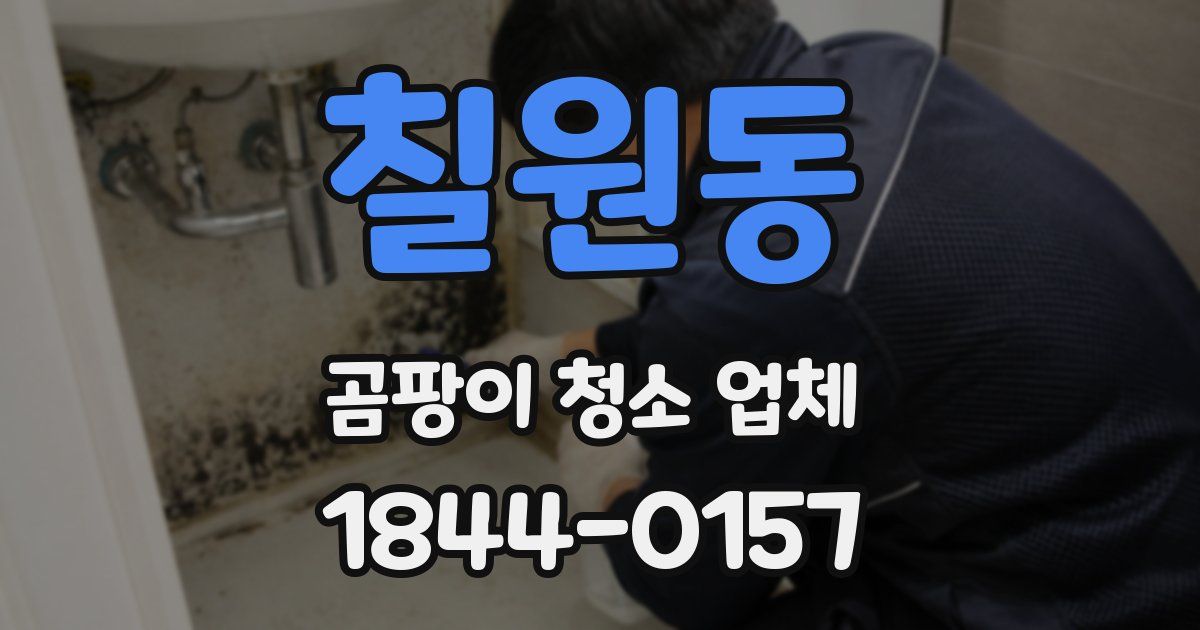 칠원동 곰팡이 청소 업체