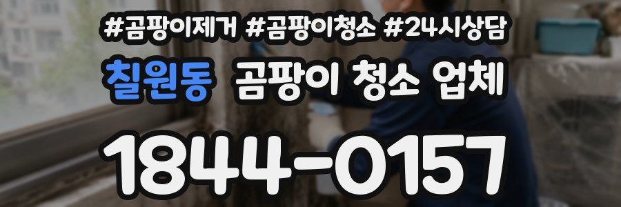 칠원동 곰팡이 청소 업체