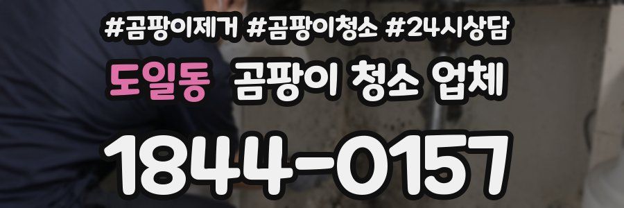 도일동 곰팡이 청소 업체