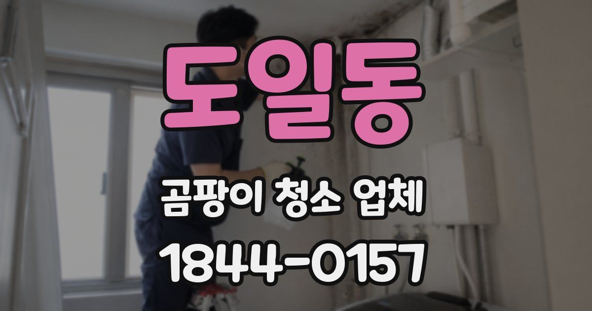 도일동 곰팡이 청소 업체