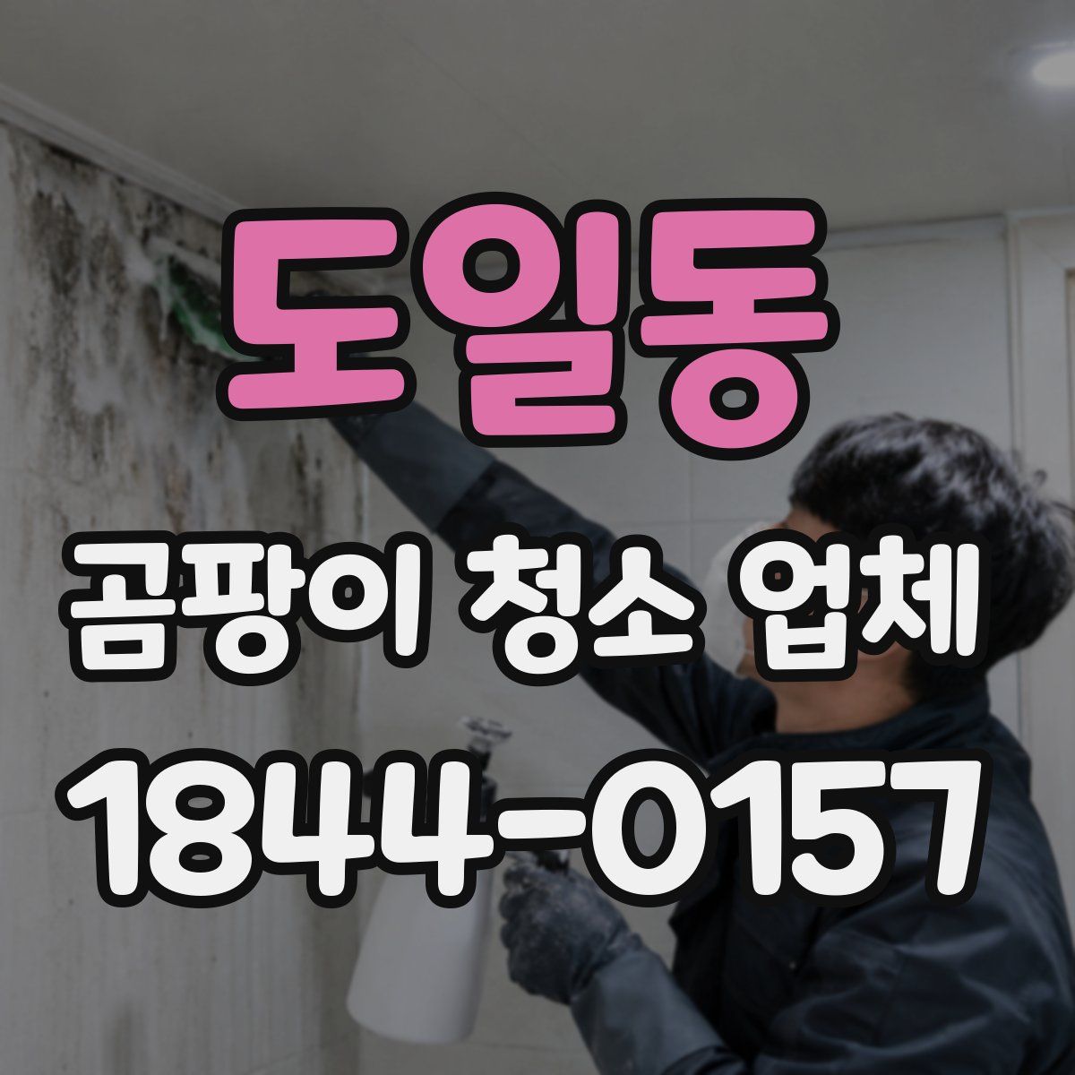 도일동 곰팡이 청소 업체