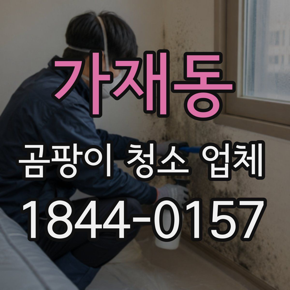 가재동 곰팡이 청소 업체