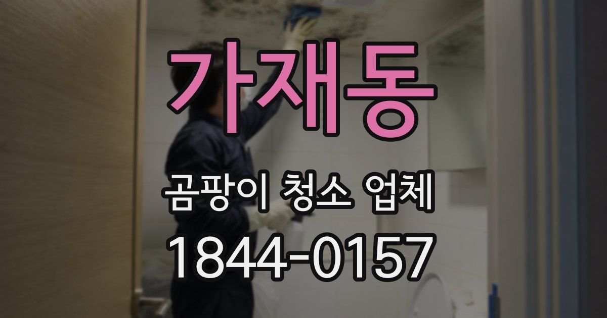 가재동 곰팡이 청소 업체