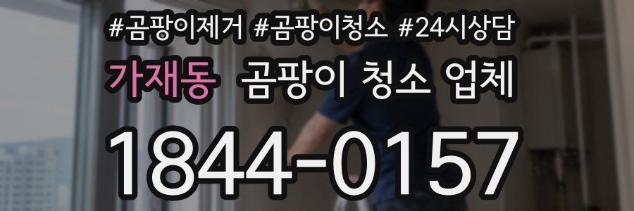 가재동 곰팡이 청소 업체