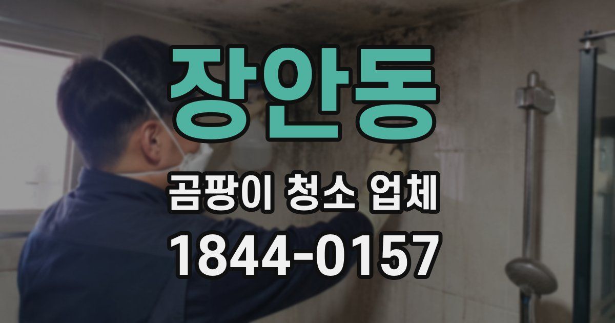 장안동 곰팡이 청소 업체