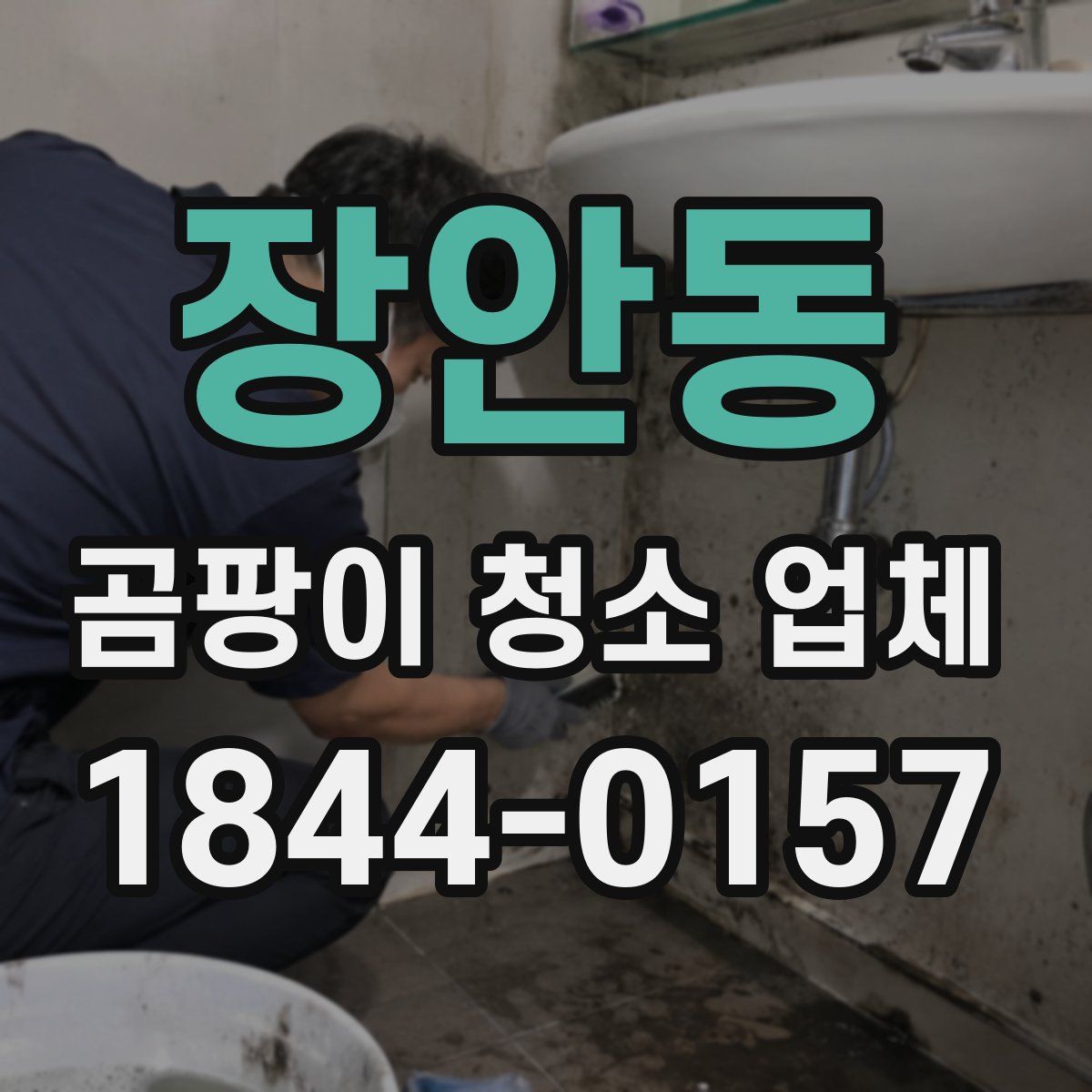장안동 곰팡이 청소 업체