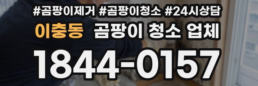 이충동 곰팡이 청소 업체