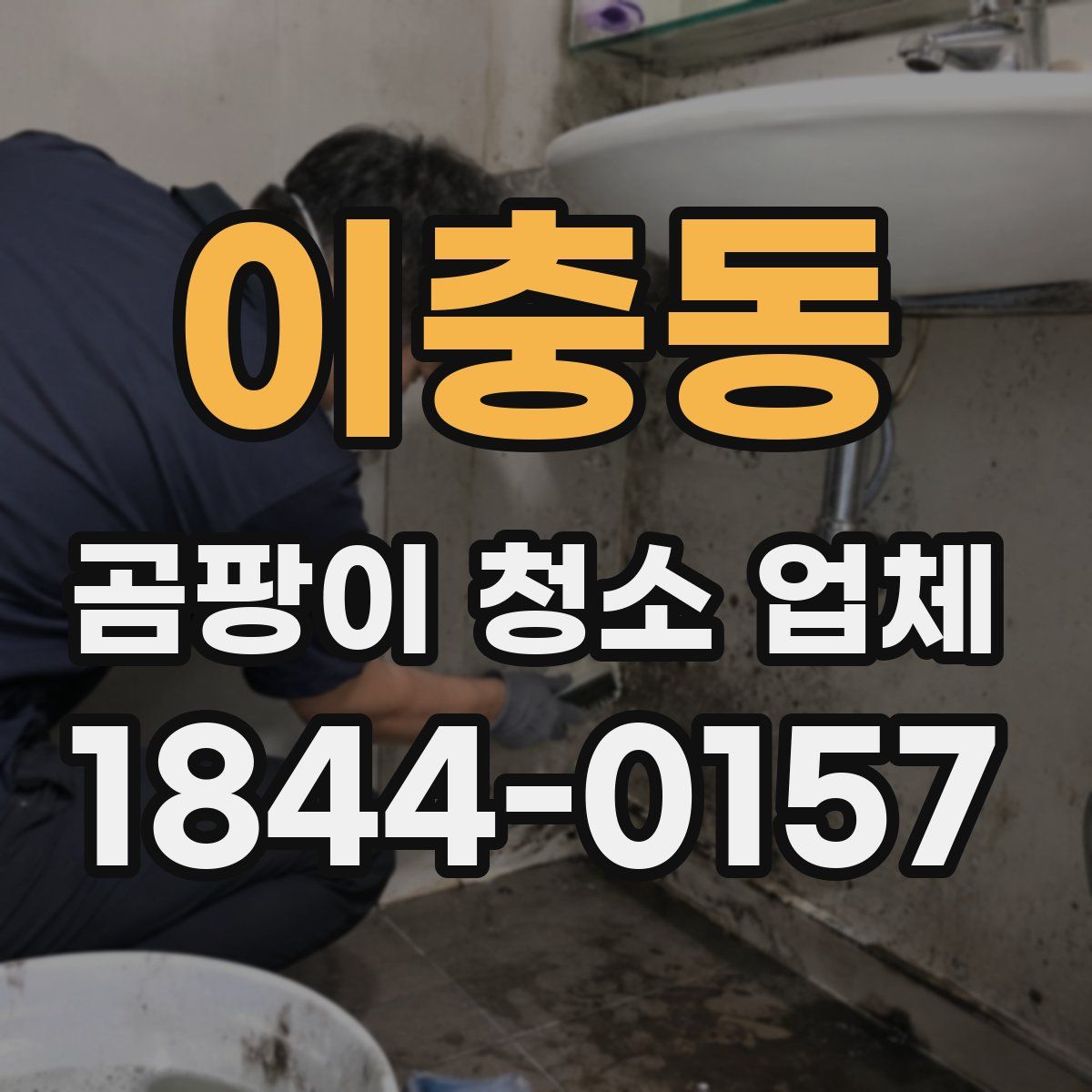 이충동 곰팡이 청소 업체