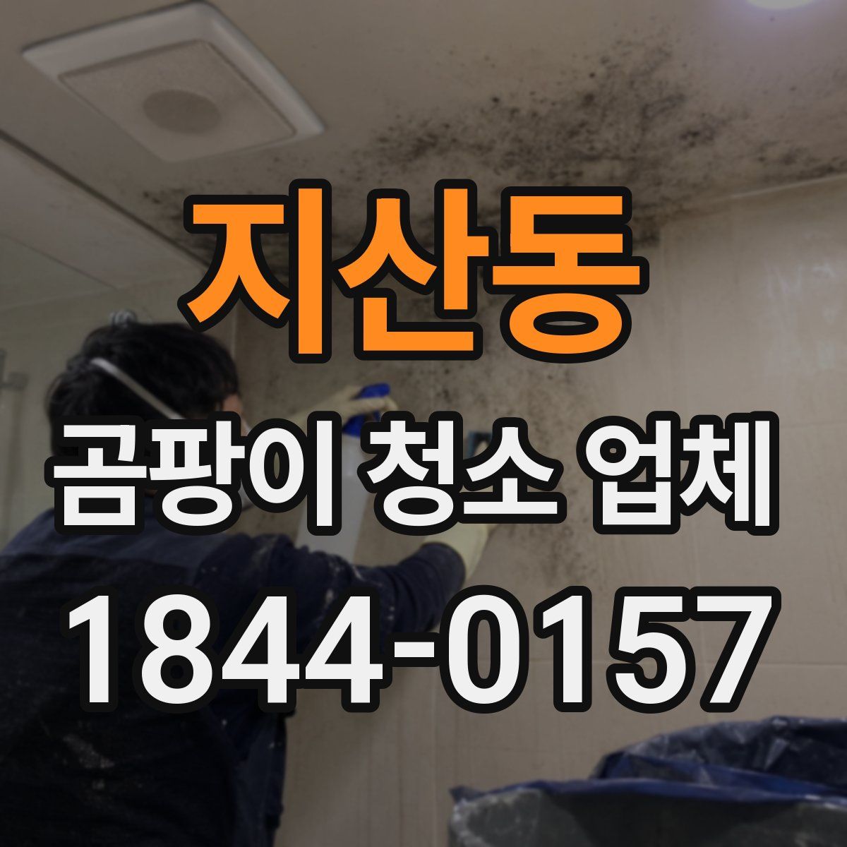 지산동 곰팡이 청소 업체