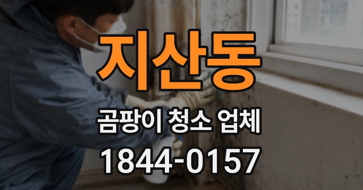 지산동 곰팡이 청소 업체