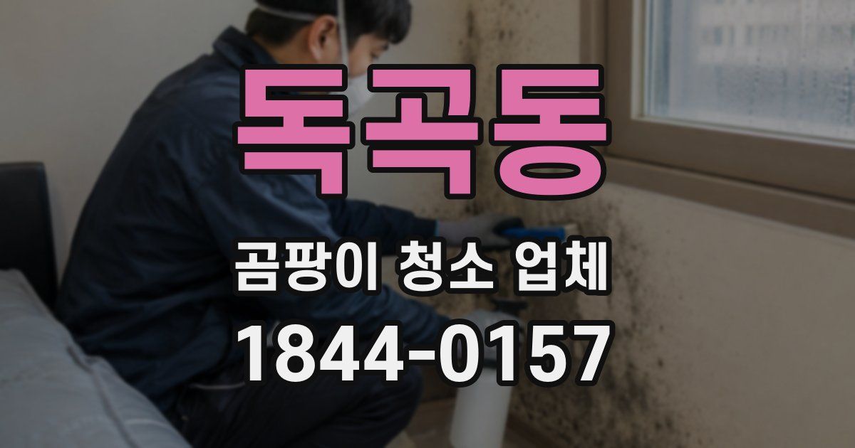 독곡동 곰팡이 청소 업체