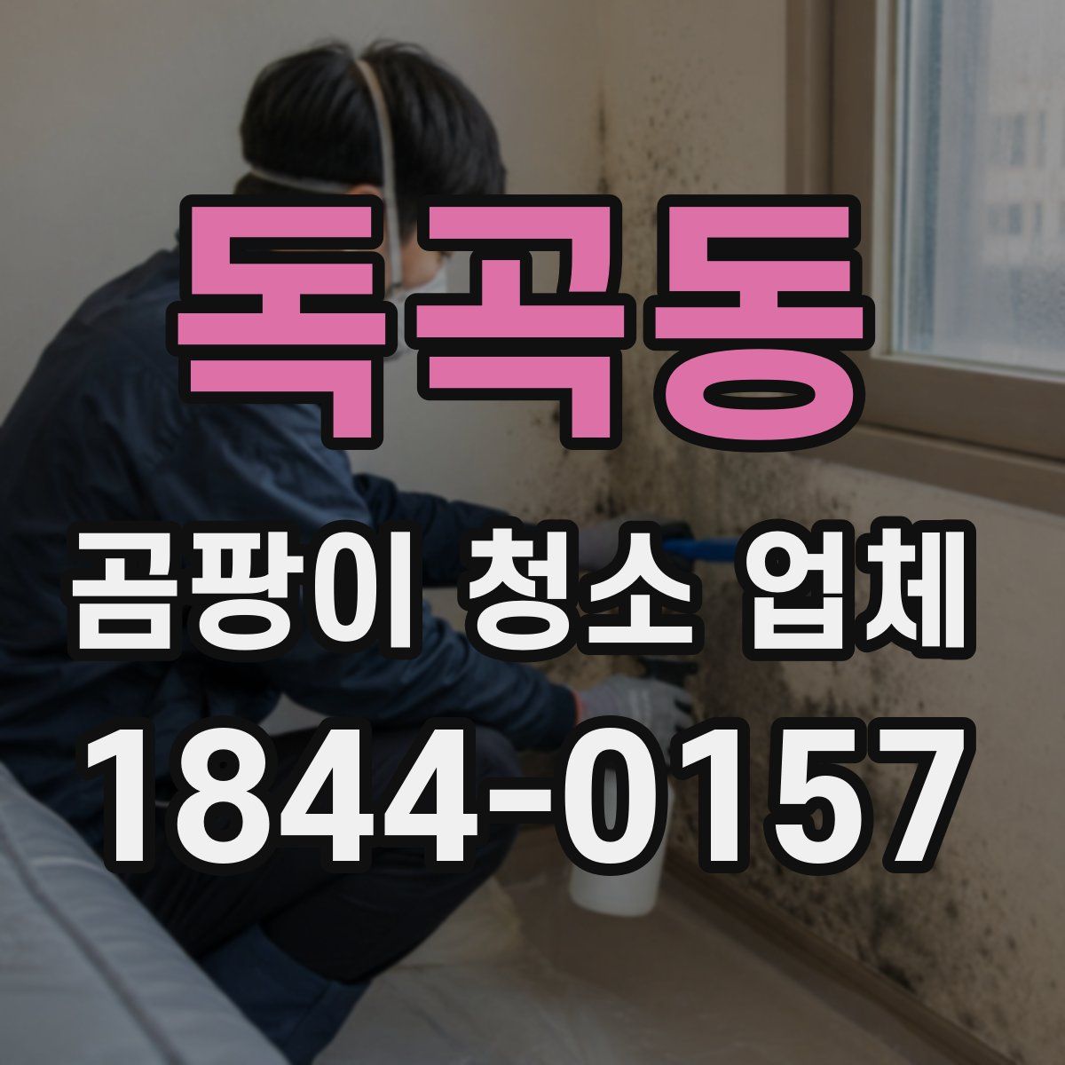 독곡동 곰팡이 청소 업체