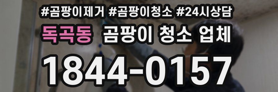 독곡동 곰팡이 청소 업체