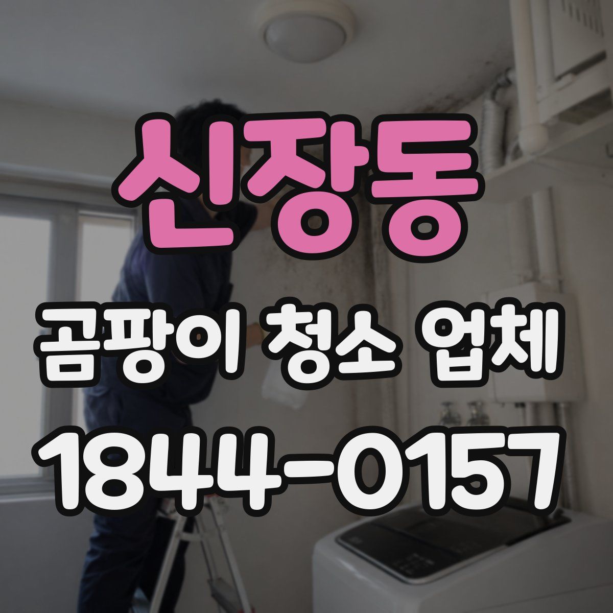 신장동 곰팡이 청소 업체