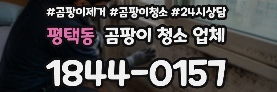 평택동 곰팡이 청소 업체
