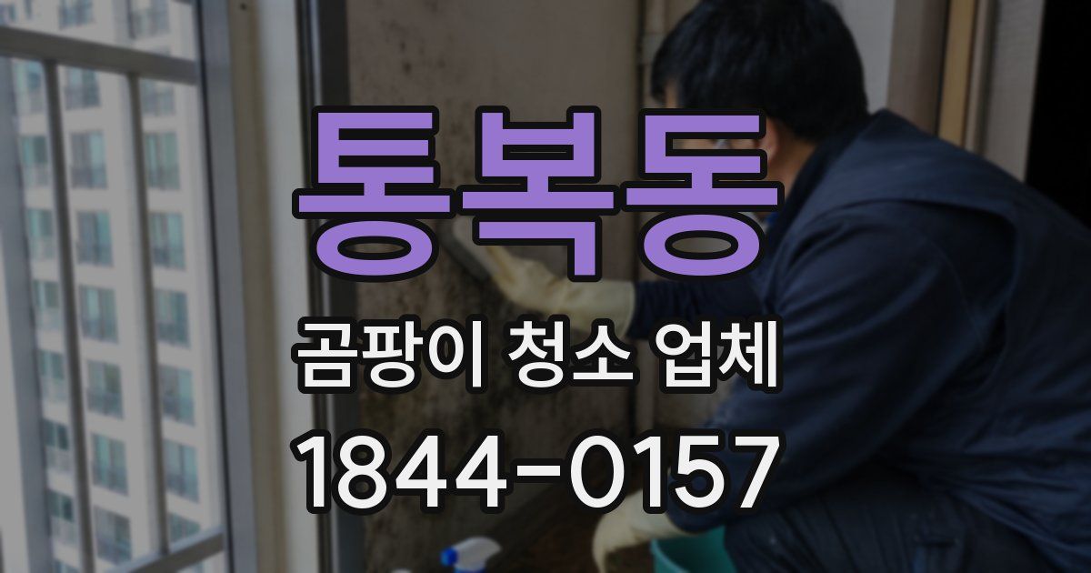 통복동 곰팡이 청소 업체