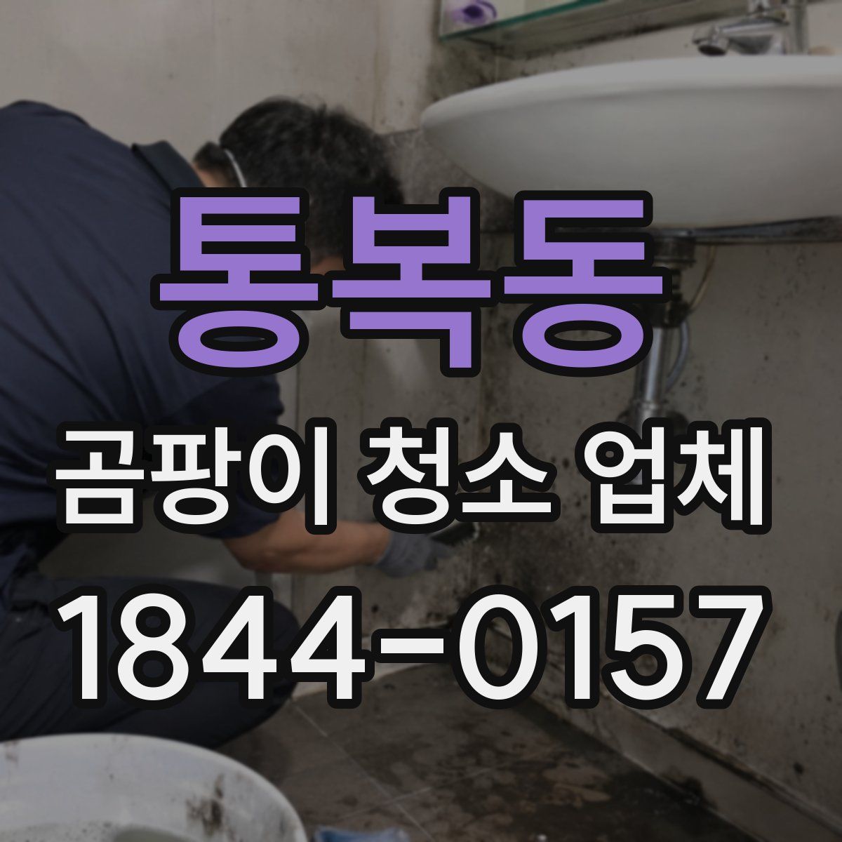 통복동 곰팡이 청소 업체
