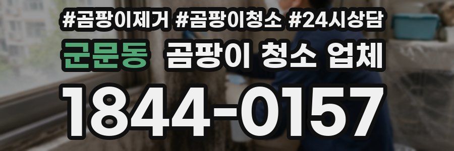 군문동 곰팡이 청소 업체