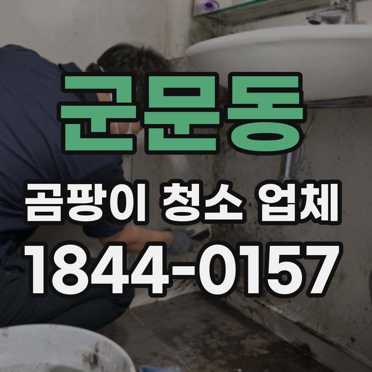 군문동 곰팡이 청소 업체