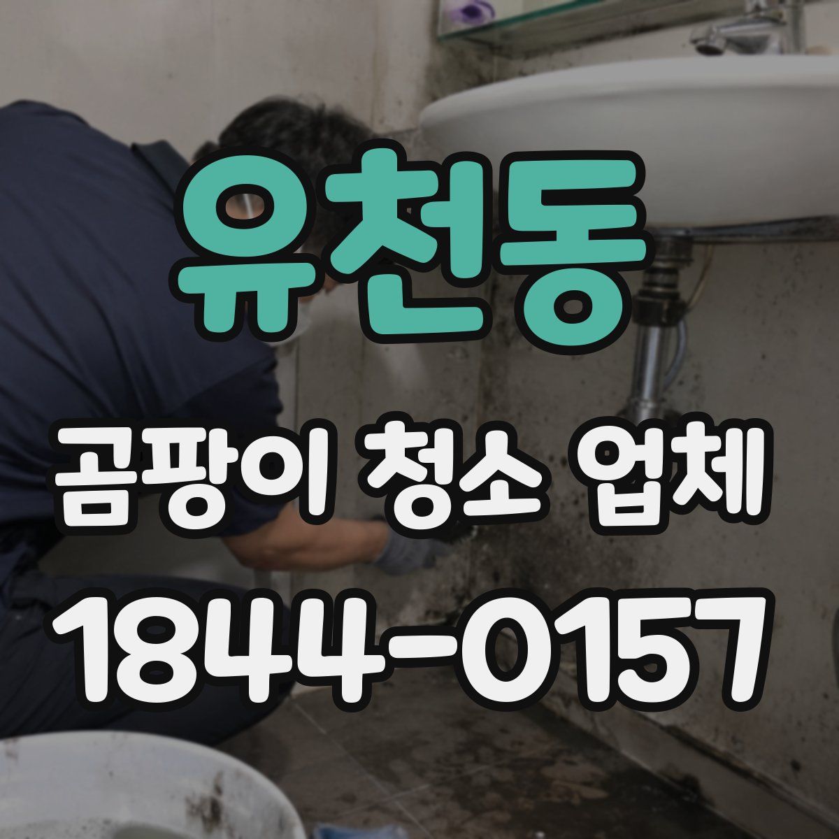 유천동 곰팡이 청소 업체