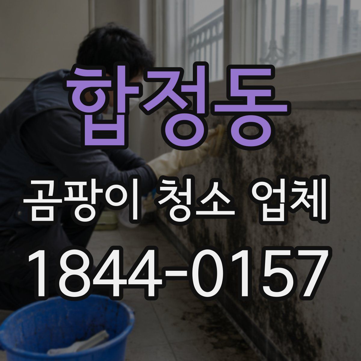 합정동 곰팡이 청소 업체