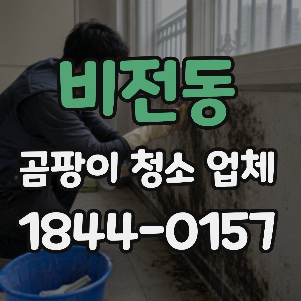 비전동 곰팡이 청소 업체 벽체 속 오염이 의심될 때 보는 신호