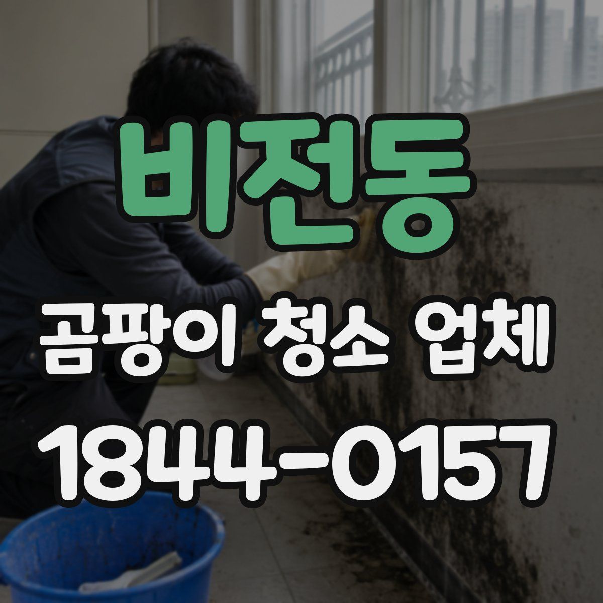 비전동 곰팡이 청소 업체