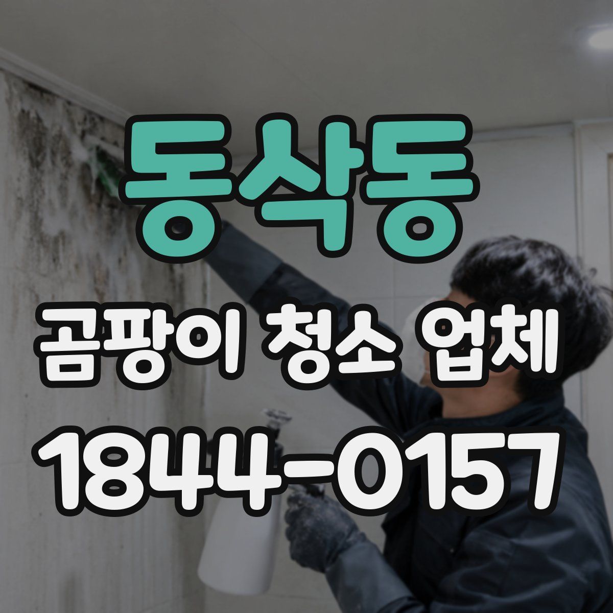 동삭동 곰팡이 청소 업체