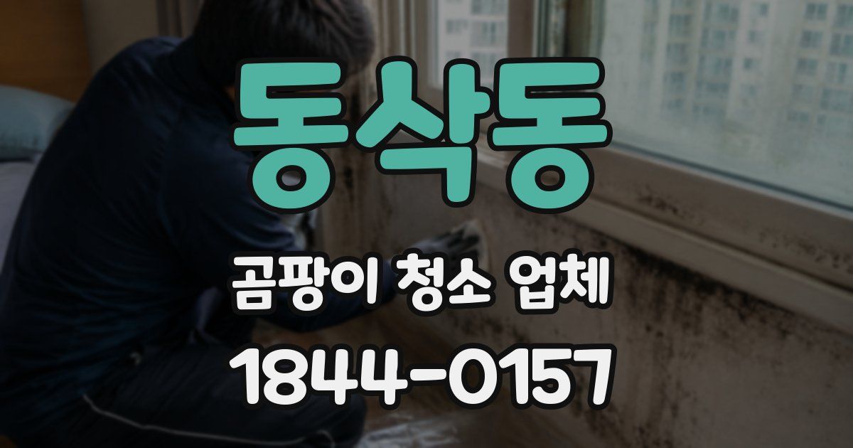 동삭동 곰팡이 청소 업체