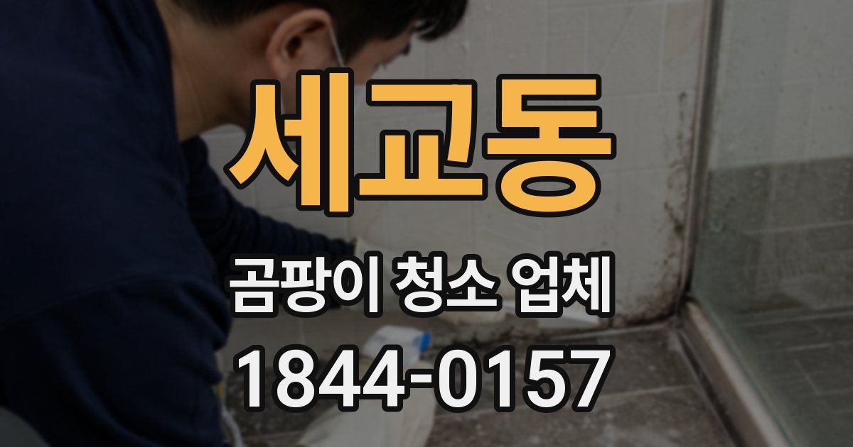 세교동 곰팡이 청소 업체