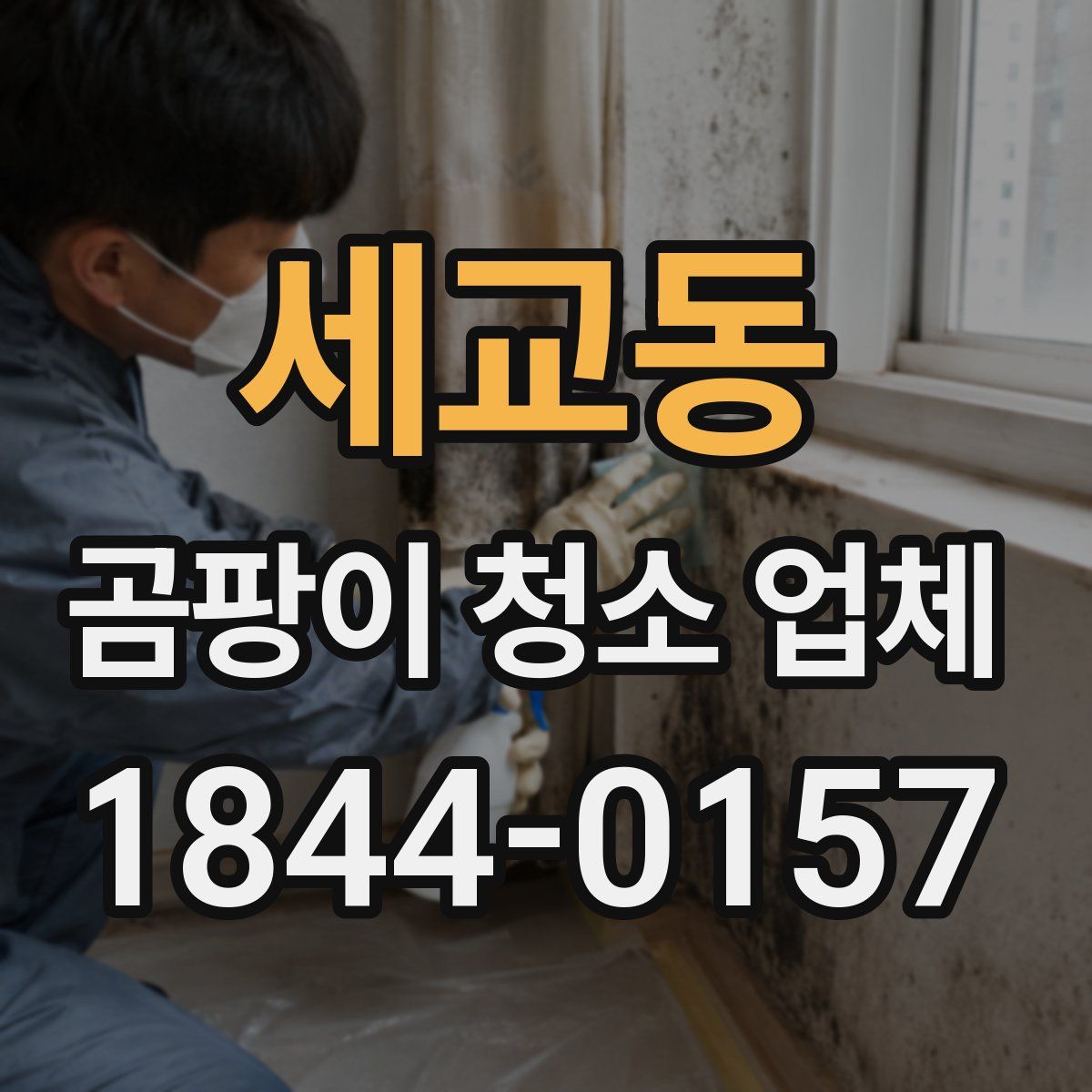 세교동 곰팡이 청소 업체