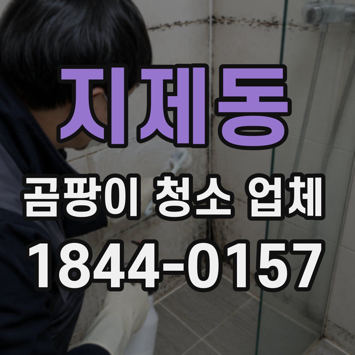 지제동 곰팡이 청소 업체