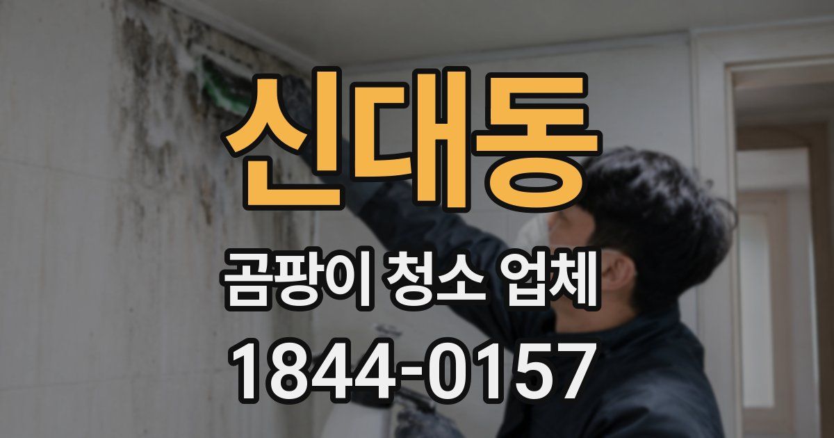신대동 곰팡이 청소 업체