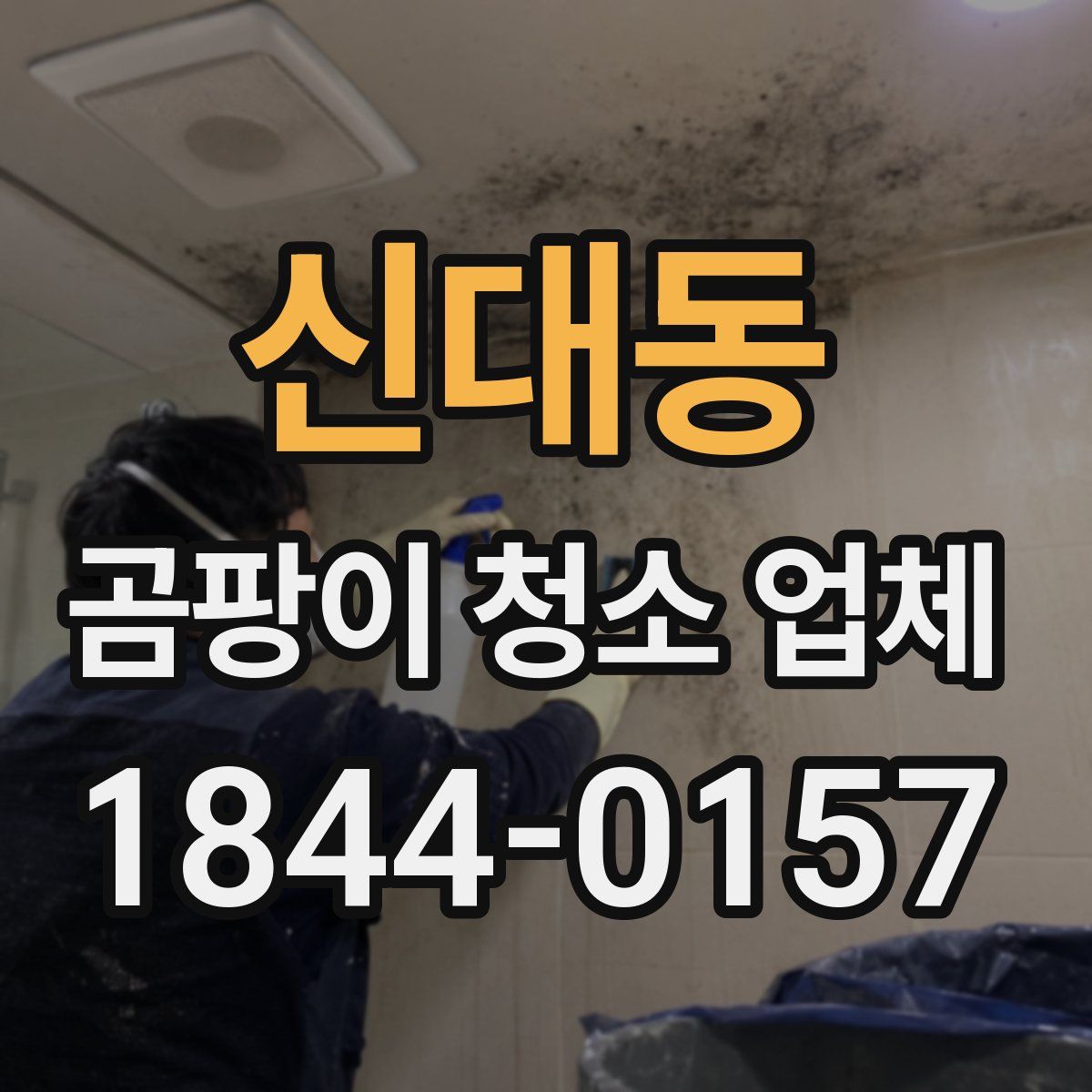 신대동 곰팡이 청소 업체
